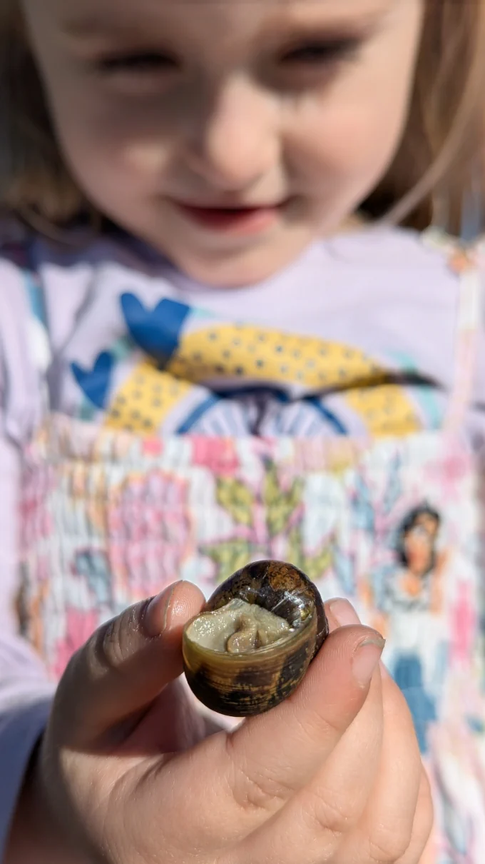 Sierra showing me a snail